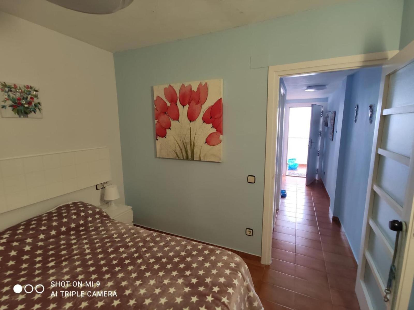 Apartamento Tossa Тоса де Мар Екстериор снимка